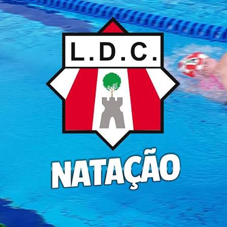 Logo da entidade ldc
